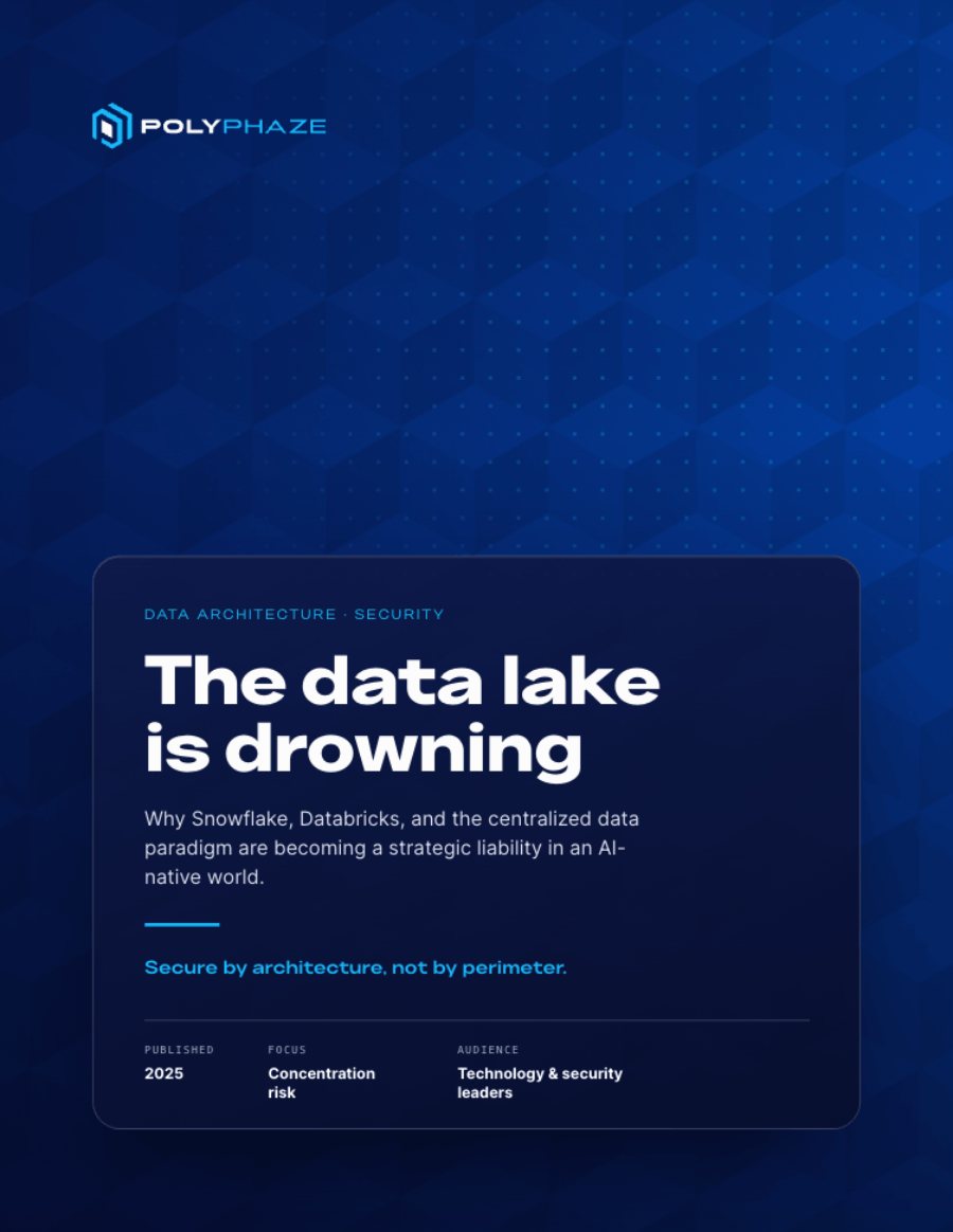 The Data Lake Is Drowning — PolyPhaze ebook