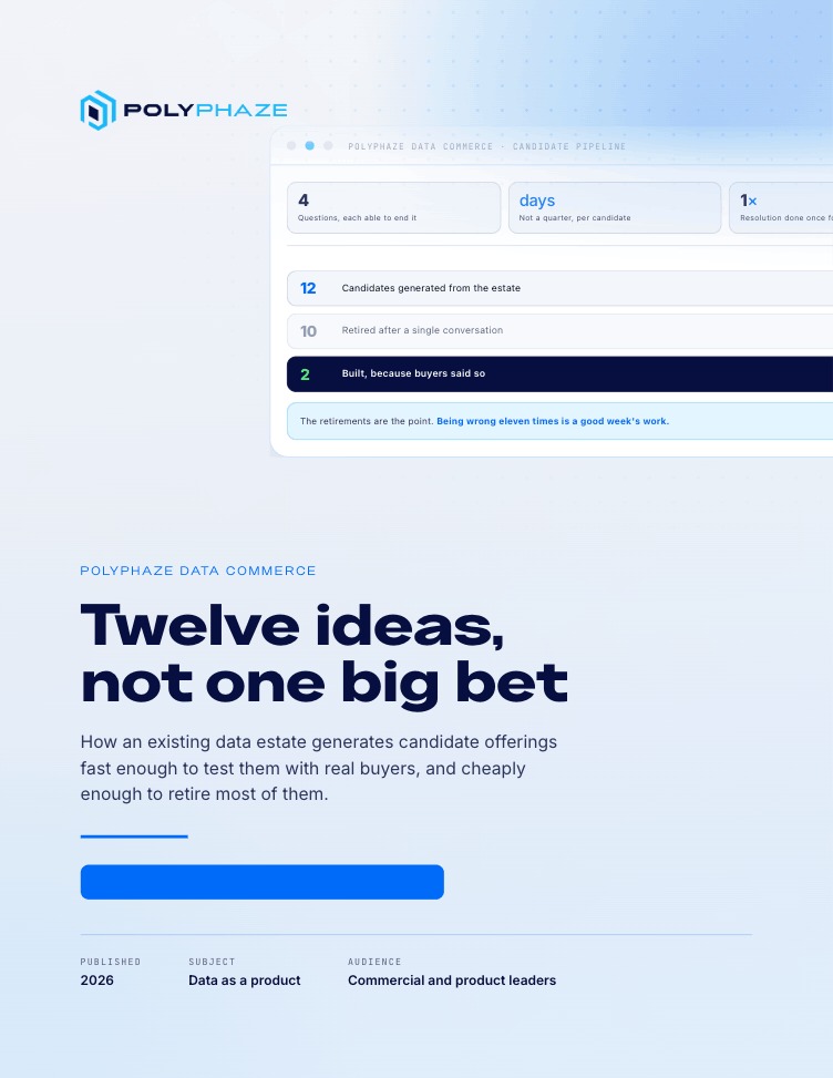 Twelve ideas, not one big bet, PolyPhaze ebook