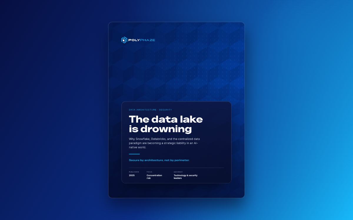The Data Lake Is Drowning — PolyPhaze white paper